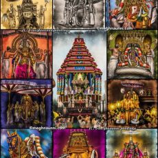 Kanchi Varadaraja Swamy Bramotsavam 2024 Paintings Series